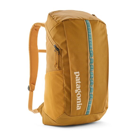 Patagonia Black Hole® Pack 25L - Spring 2025